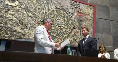 NUEVA CÁMARA DE DIPUTADOS